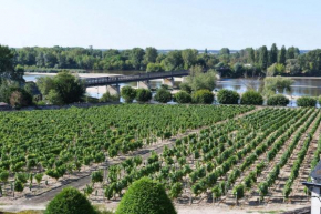 Gîte Loire et Vignoble